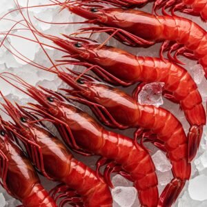 Carabineros